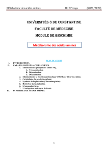 Métabolisme des acides aminés : Support de cours de biochimie