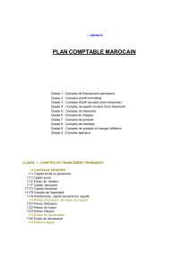 Plan Comptable Marocain : Classes et Comptes