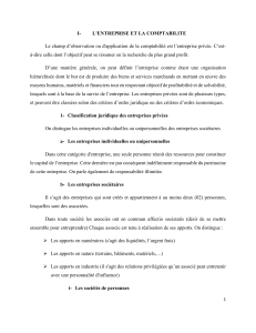 Entreprise et Comptabilit&eacute; : Cours d'Introduction