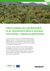 Droit de l'agroforesterie en Côte d'Ivoire : Risques et opportunités
