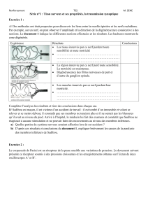 Exercices : Tissu nerveux et transmission synaptique