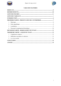 Rapport de stage ouvrier - BERIA GROUP