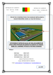 Note de Calcul Hangar Métallique Douala : Structures Porteuses