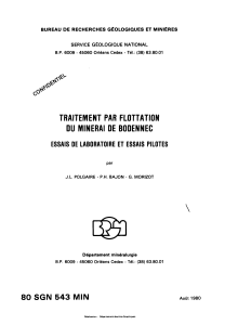 Flottation du minerai de Bodennec : Rapport d'essais