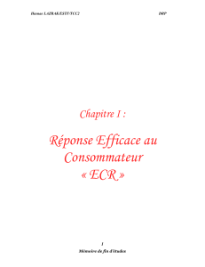 ECR : Efficacité Continuellement Renouvelée - Mémoire