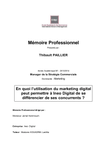 Ineo Digital : Strat&eacute;gie de diff&eacute;renciation par le marketing digital