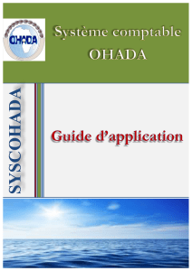 Guide d'application SYSCOHADA : Comptabilité