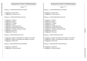 Programme d'&eacute;tude Math&eacute;matiques 5&egrave;me - Configurations et Applications