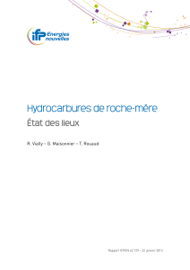 2013 01 22 IFPEN Hydrocarbures-de-roche-mere etat-des-lieux
