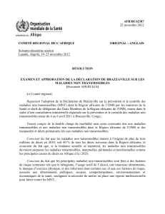 Déclaration de Brazzaville : Résolution sur les MNT en Afrique