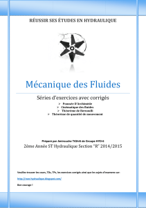 Exercices de Mécanique des Fluides avec Solutions