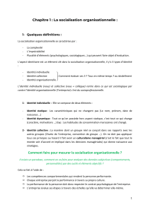 Socialisation organisationnelle : Définitions et mesures