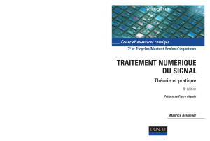 Traitement Numérique du Signal: Théorie & Pratique