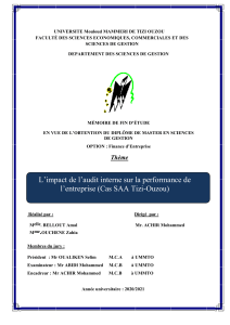Audit interne et performance : Cas SAA Tizi-Ouzou