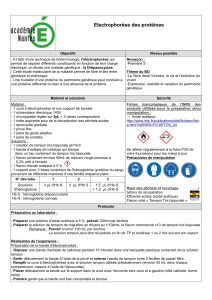 Electrophorèse des protéines : Protocole de laboratoire