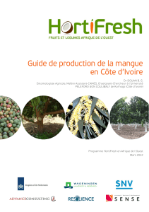 Guide de production de la mangue en Côte d'Ivoire