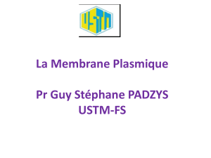 Membrane Plasmique et Syst&egrave;me Endomembranaire - Pr&eacute;sentation