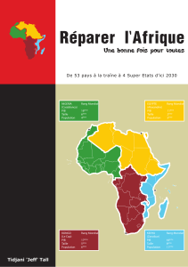 Réparer l'Afrique: Vision 2030, Super États