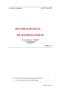Devoir Surveillé de Mathématiques - Terminale Spécialité
