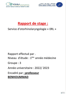 Rapport de stage ORL - 1ère année médecine