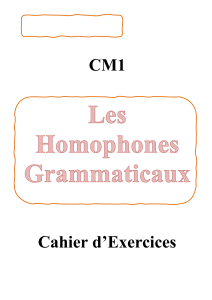 Homophones Grammaticaux CM1 : Cahier d'Exercices