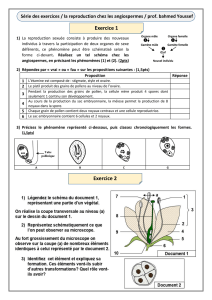 Reproduction Angiospermes : Exercices et Schémas