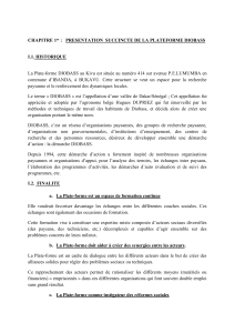 Plateforme DIOBASS au Kivu : Développement Agricole et Social