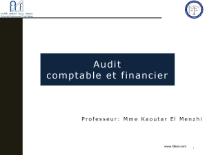 Audit Comptable et Financier : Cours et Normes