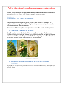Interactions biotiques dans les écosystèmes : Activité d'écologie