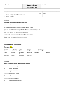 Évaluation Français CE1 : Verbes, Radicaux, Sujets
