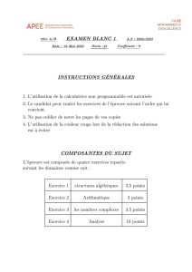 Examen Blanc Mathématiques Lycée