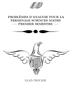 Problèmes d'Analyse Maths Terminale S - Solutions
