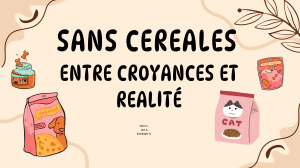 Alimentation sans céréales pour animaux : croyances et réalité