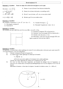 Devoir Maison Maths: Fractions, Algèbre, Géométrie
