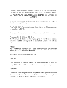 Acte Uniforme OHADA : Comptabilité des Entreprises