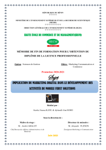 Marketing Digital & Mobile First Solutions M&eacute;moire