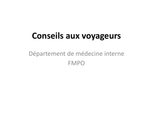 Conseils santé voyage : Vaccinations, paludisme et plus