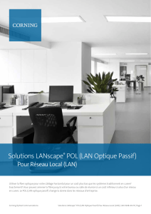 Solutions LANscape® POL : Fibre optique pour réseaux locaux