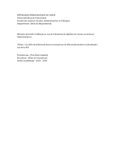 Télétravail à Lubumbashi: Défis et Enjeux (Mémoire de Licence)