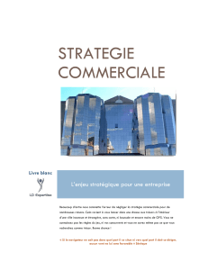 Stratégie Commerciale : Livre Blanc pour Entreprises