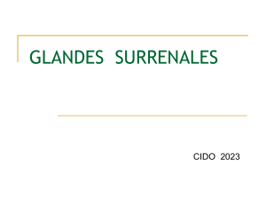 Glandes surrénales : Anatomie, hormones et pathologies