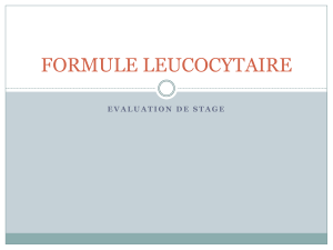 Formule Leucocytaire : Évaluation de Stage
