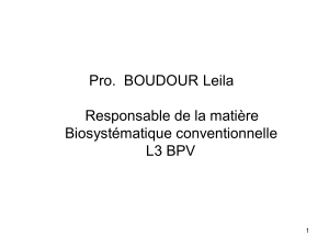 Morphologie florale des angiospermes : une présentation de botanique