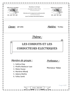 Rapport sur les conduits et conducteurs électriques