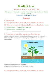 Absorption eau et sels minéraux chez les plantes - Cours 1 Bac