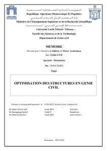 Optimisation des Structures en Génie Civil - Mémoire de Master