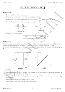 TD Dip&ocirc;le RC : Exercices et Corrig&eacute;s pour 2 BAC BIOF