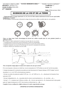 Examen de Biologie Lycée : Reproduction, Cœur, Muscles