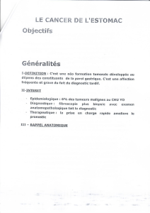 Cancer de l'estomac : Définition, Diagnostic et Traitement