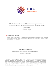 Sédimentation: Modélisation Numérique à l'Échelle Particulaire